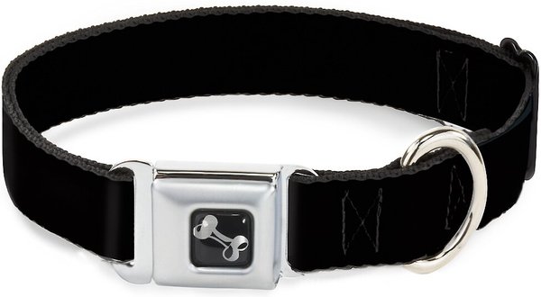 Buckle-Down Black Dog Collar, Large slide 1 of 8