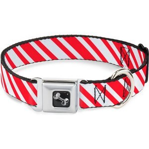 Buckle-Down Star Wars Classic Character Poses Metal Seatbelt Buckle Dog Collar, Black