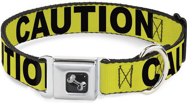 Buckle-Down CAUTION Dog Collar, Wide-Small slide 1 of 9