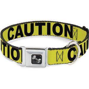 Buckle-Down CAUTION Dog Collar, Wide-Small