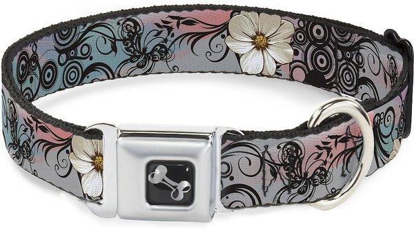 Buckle-Down Flowers Dog Collar, Wide-Small slide 1 of 9