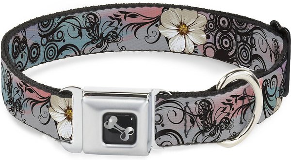 Coastal Adjustable Dog Collar with Plastic Buckle - Red