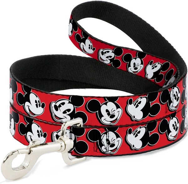 Collar Pulgas Gato Llavero Buckle Down 1.0 Expresiones De Puntadas/hibisco... | Envío Gratis Coleira Cao