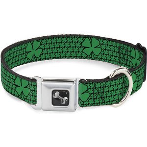 Buckle-Down St. Pat's Clovers Dog Collar, Large