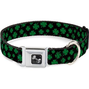 Buckle-Down St. Pat's Clovers Dog Collar, Wide-Small