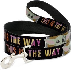Buckle-Down Star Wars The Child Dog Leash