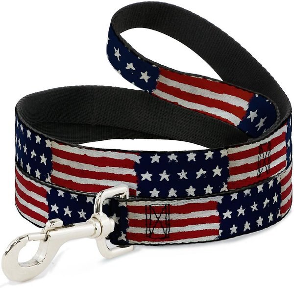 Buckle-Down Stars & Stripes Painting Dog Collar