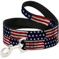 Buckle-Down Stars & Stripes Painting Dog Leash