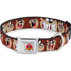 Buckle-Down Tasmanian Devil Dog Collar, Wide-Medium