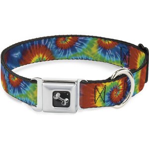 Buckle-Down Seatbelt Buckle Dog Collar - CASH MONEY $ Black/Dollars - 1\" Wide - Fits 15-26\" Neck - Large