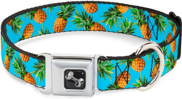 Pineapple dog collar hotsell