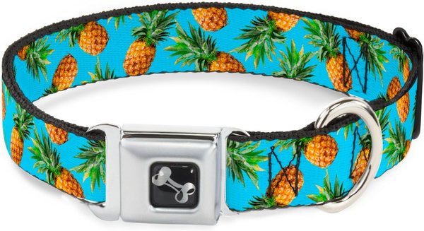 Buckle-Down Vivid Pineapple Dog Collar, Large slide 1 of 9
