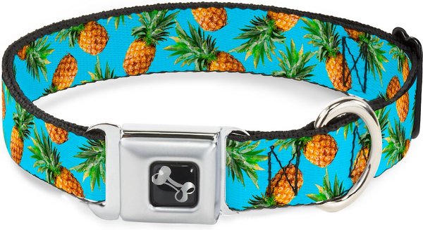 Buckle-Down Vivid Pineapple Dog Collar, Wide-Small slide 1 of 9