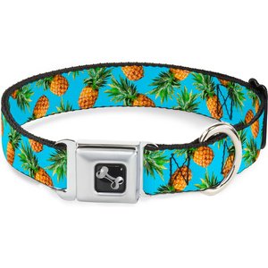 Buckle-Down Vivid Pineapple Dog Collar, Wide-Small
