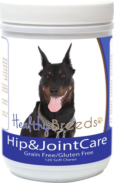 Healthy Breeds Hip & Joint Care Soft Chews Dog Supplement, 120 count slide 1 of 1