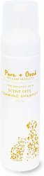 Pure + Good Scent Free Foaming Dog & Cat Shampoo, 7-oz bottle
