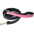 Scotch & Co Teal/Pink Handcrafted Dog Leash
