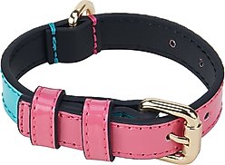 Scotch & Co Teal/Pink Handcrafted Standard Dog Collar, Medium: 12.5 to 16-in neck, 0.8-in wide