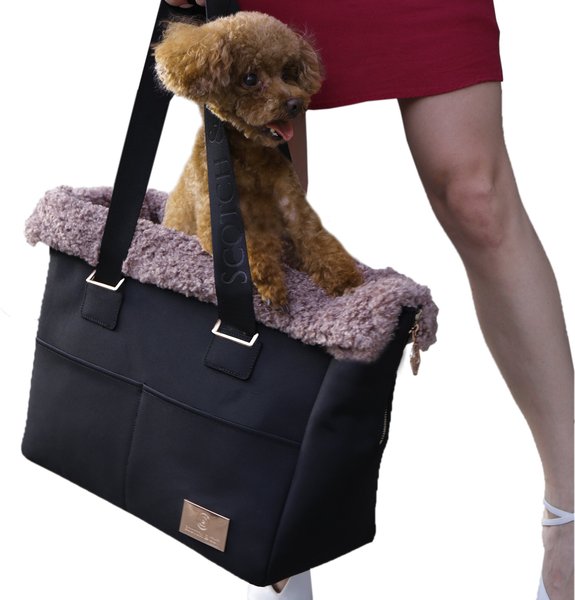 Floral Designer Dog Carrier – Furbabeez