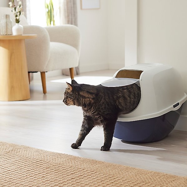 Frisco Modern Hooded Cat Litter Box, Blue, 21-in slide 1 of 5