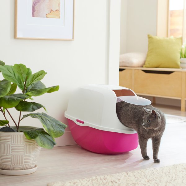 Frisco Modern Hooded Cat Litter Box, Pink, 21-in slide 1 of 5