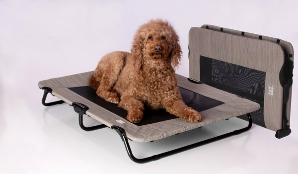 Pet Gear Pet Cot Dog Bed, Harbor Grey, 40-in slide 1 of 5