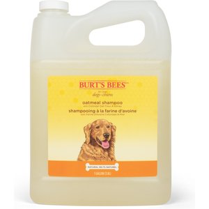 Burt's Bees Oatmeal Dog Shampoo, 1-gal