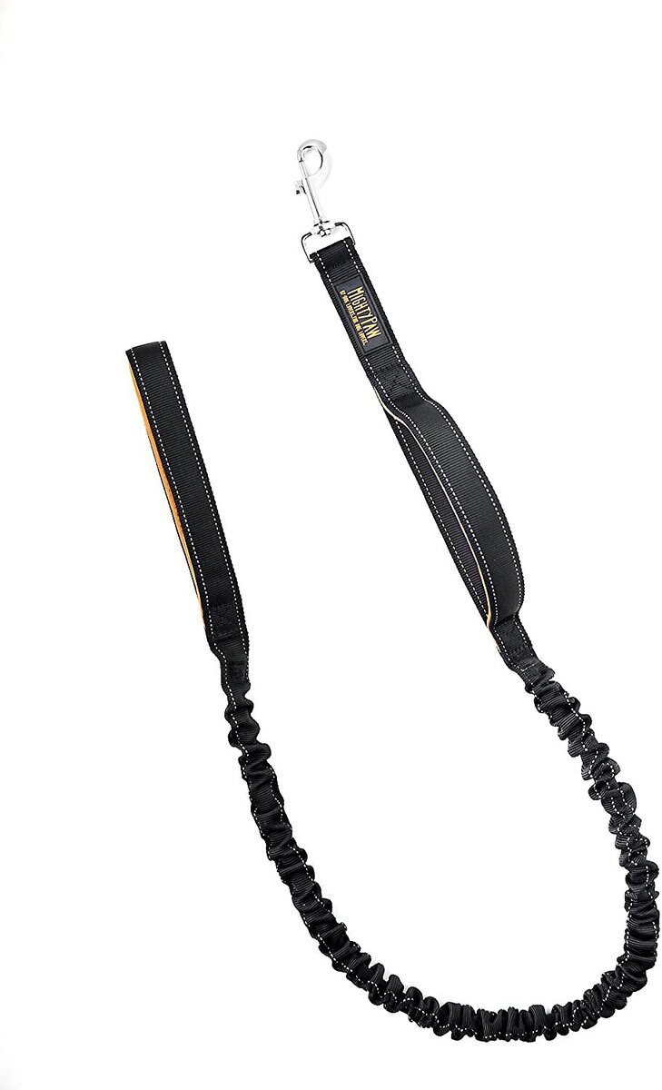 Mighty Paw Nylon Dual Handle Bungee Dog Leash, 46-in