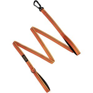 Mighty Paw 2.0 Neoprene HandleX2 Colorblast Dual Handle Dog Leash, 6-ft