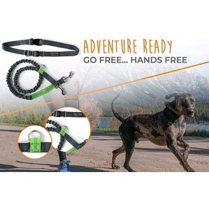 The 7 Best Hands-Free Dog Leashes