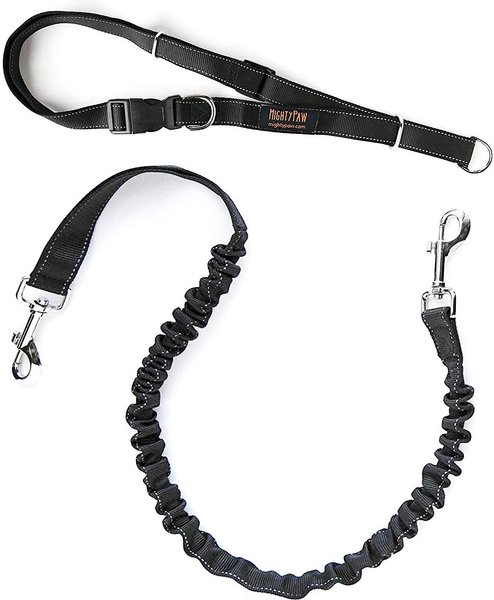 Mighty Paw Hands Free Nylon Bungee Dog Leash Set, Black, 36-in slide 1 of 8