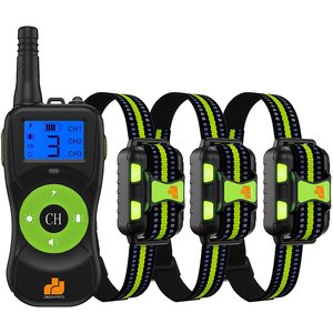 SportDOG Brand® YardTrainer 300