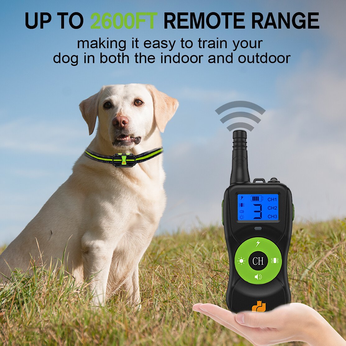 Indoor shock collar outlet for dogs