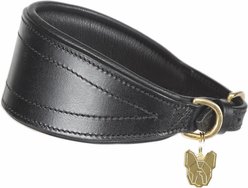 Digby & Fox Padded Greyhound Dog Collar, Black, X-Small slide 1 of 2