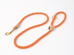 Digby & Fox Reflective Dog Lead, Orange