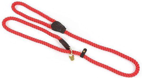 Chewy rope outlet leash