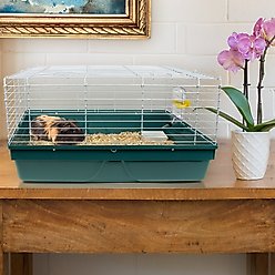 Pet Champion Small Animal Starter Kit, Teal/White slide 2 of 6