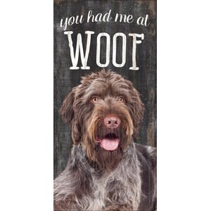 Fan Creations You Had Me At Woof Wall Decor, German Wirehaired Pointer