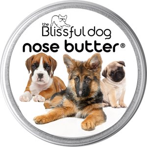The Blissful Dog 3 Cute Puppies Dog Nose Butter, 4-oz Tin