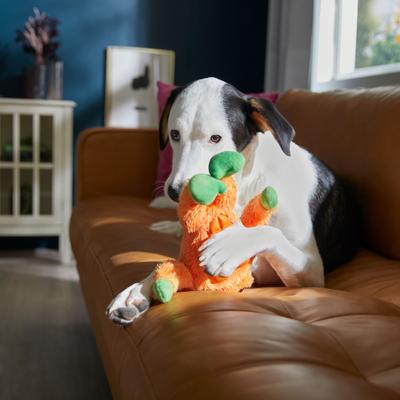 Show full view: Frisco Halloween Pumpkin Muscle Plush Squeaky Dog Toy, Medium/Large slide 4 of 7