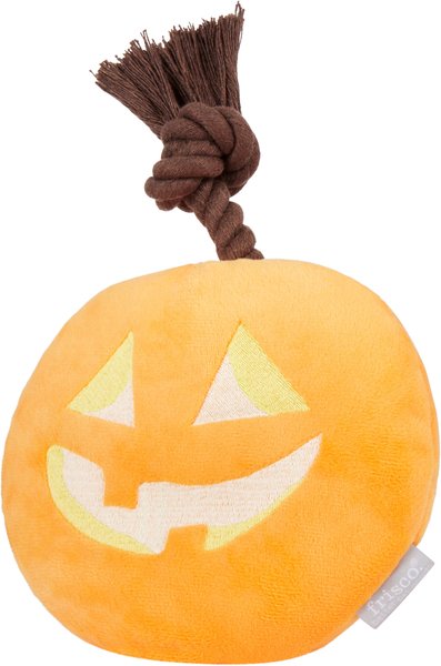 Stuffed pumpkin hot sale dog toy