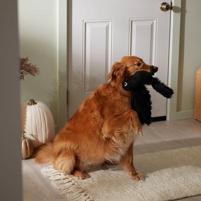 Show full view: Frisco Halloween Crow Plush Squeaky Dog Toy, Medium/Large slide 3 of 7