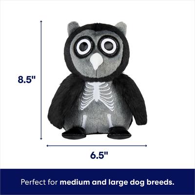 Show full view: Frisco Halloween Spooky Owl Plush Squeaky Dog Toy, Medium/Large slide 2 of 7