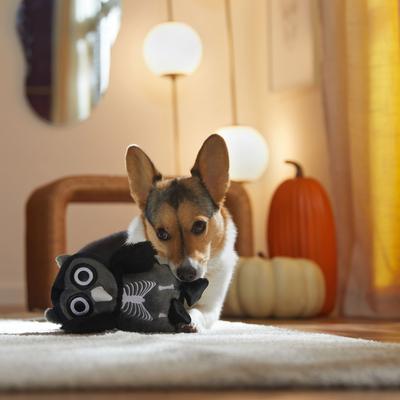 Show full view: Frisco Halloween Spooky Owl Plush Squeaky Dog Toy, Medium/Large slide 3 of 7