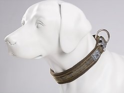 Chai's Choice Premium Dog Collar, Army Green, Small slide 2 of 7