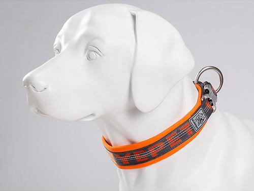 Show full view: Chai's Choice Premium Dog Collar, Orange & Gray, Medium slide 2 of 8