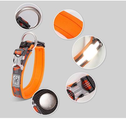 Show full view: Chai's Choice Premium Dog Collar, Orange & Gray, Medium slide 5 of 8