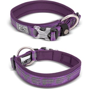 Chai's Choice Premium Dog Collar, Purple, XXL-Large