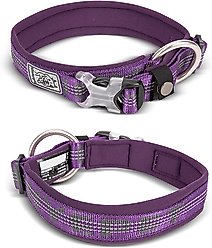 Chai's Choice Premium Dog Collar, Purple, Small