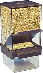 Bird Life Vacation Bird Feeder